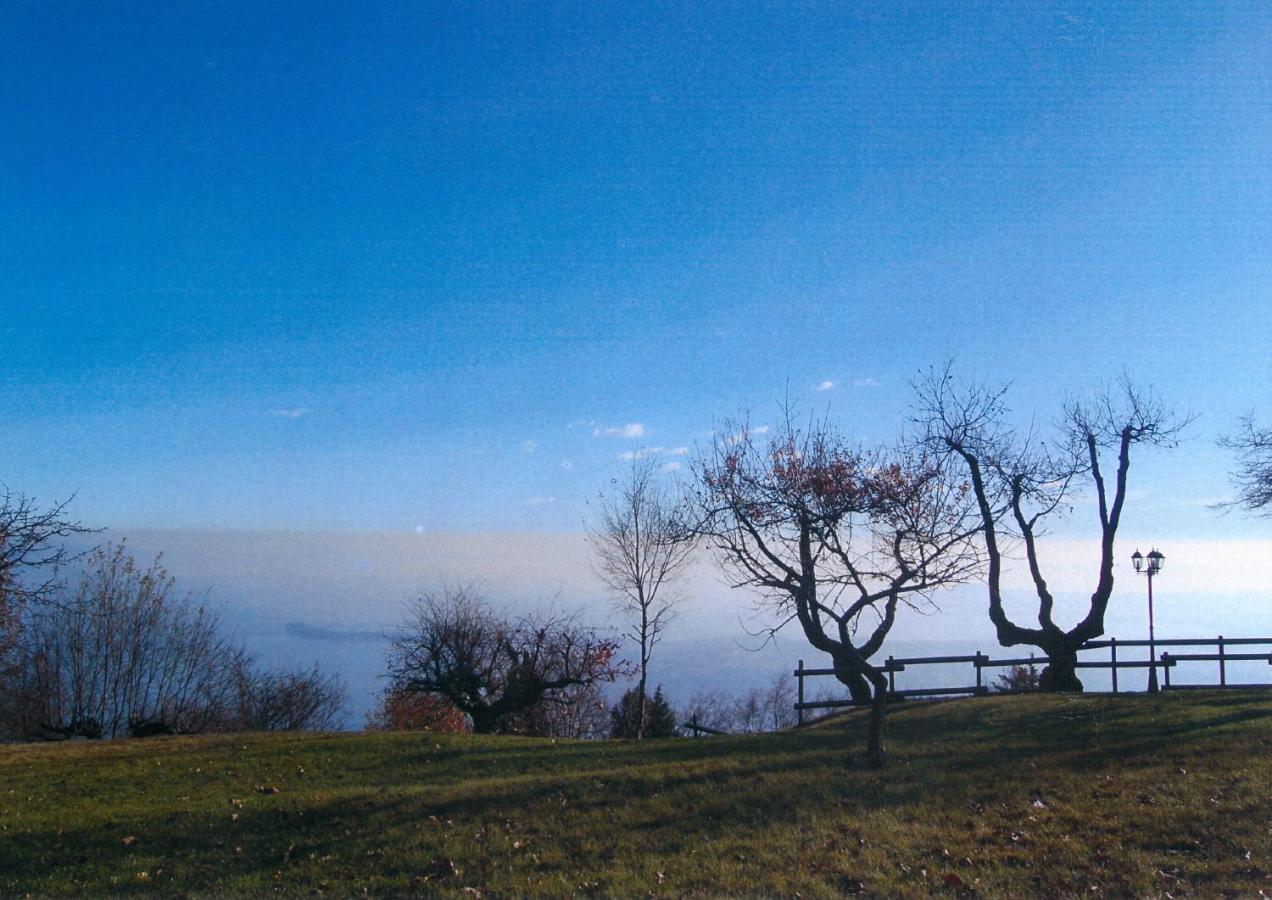 La Fiocchina - Magic Place - Apartments & Studios In Garda Lake - Countryside Farmhouse, Inside The Middle Of The Lake Salò Kültér fotó